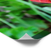 Rotgelbe Blume Poster (Ecke)