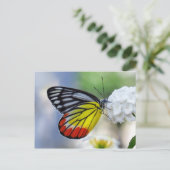 Rotgelber Schmetterling Gestalt Jezebel Postkarte (Stehend Vorderseite)