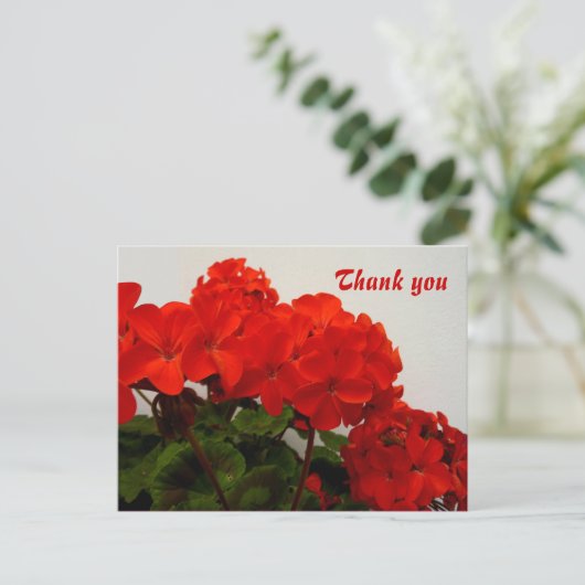 Rotgeranien Postkarte (Stehend Vorderseite)