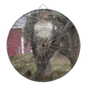 Rotgeschwanzhabicht-Dart-Scheibe Dartscheibe