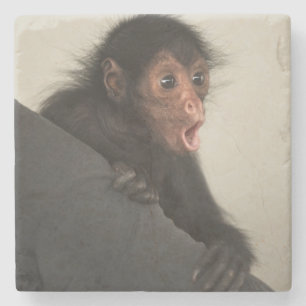 Rotgesichtklammeraffe Ateles paniscus) Steinuntersetzer