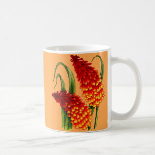 Rotglühende Poker Kniphofia Blumen Kaffeetasse