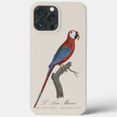 Rotgrüner Ara, Ara chloropterus Case-Mate iPhone Hülle (Rückseite)