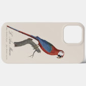 Rotgrüner Ara, Ara chloropterus Case-Mate iPhone Hülle (Rückseite (Horizontal))