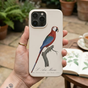 Rotgrüner Ara, Ara chloropterus Case-Mate iPhone Hülle