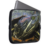 Rothaardieb, Trachemys scripta elegans, 2 Laptopschutzhülle (Vorne Rechts)