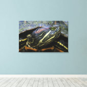 Rothaardieb, Trachemys scripta elegans, 2 Leinwanddruck (Insitu (Holzboden))