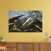 Rothaardieb, Trachemys scripta elegans, 2 Leinwanddruck (Insitu (Wohnzimmer))