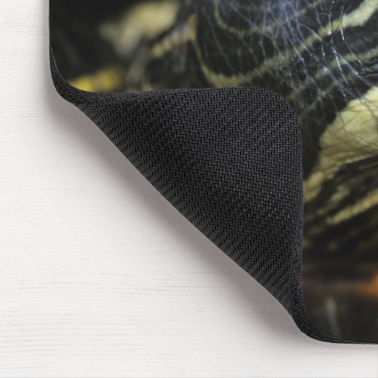 Rothaardieb, Trachemys scripta elegans, 2 Mousepad (Ecke)