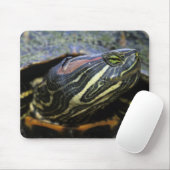 Rothaardieb, Trachemys scripta elegans, 2 Mousepad (Mit Mouse)