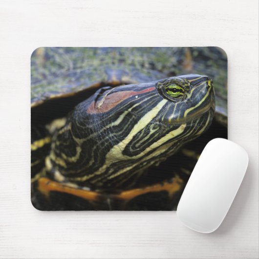 Rothaardieb, Trachemys scripta elegans, 2 Mousepad (Mit Mouse)