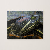 Rothaardieb, Trachemys scripta elegans, 2 Puzzle (Horizontal)