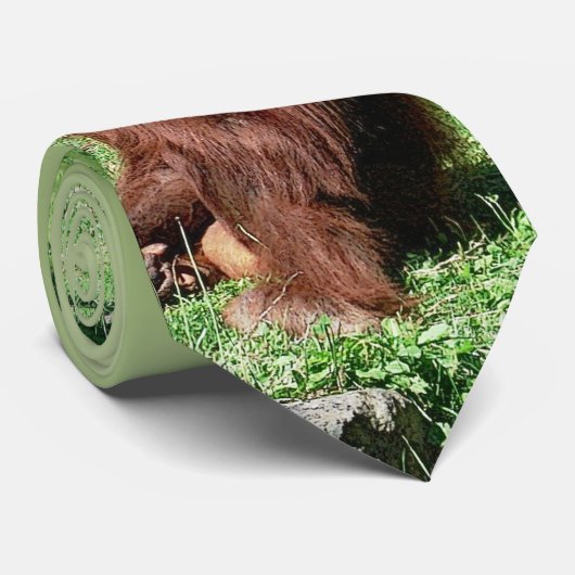 Rothaarhaar Orangutan, auf Gras sitzend Krawatte (Gerollt)