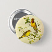 Rothaarige FlaggeEmberiza bruniceps Button (Vorne & Hinten)