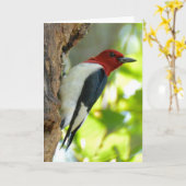 Rothaariger Specht Karte (Gelbe Blume)