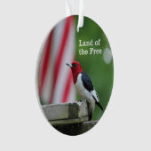 Rothaariger Specht Ornament (Vorderseite)