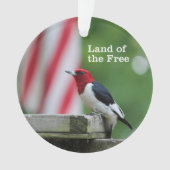 Rothaariger Specht Ornament (Vorderseite)