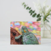 Rothaarschildkröte Postkarte (Stehend Vorderseite)