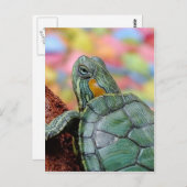 Rothaarschildkröte Postkarte (Vorne/Hinten)