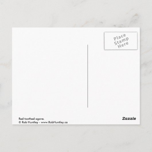 Rothackagave Postkarte (Rückseite)