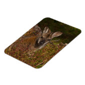 Rothackige Wallaby Magnet (Linke Seite)
