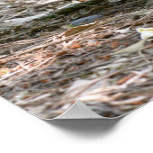 Rothalswallaby und ihr fröhlicher Urlaub Poster (Ecke)