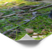 Rothalswallaby und ihre fröhliche Postkarte Poster (Ecke)