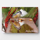 Rothatch Fotoplatte (Vorderseite)