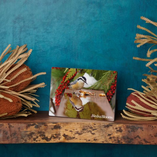 Rothatch Fotoplatte (Seite)