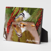 Rothatch Fotoplatte (Seite)