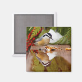 Rothatch Magnet (Vorderseite/Rückseite)