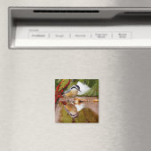 Rothatch Magnet (In Situ (Geschirrspüler))