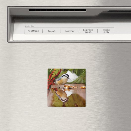 Rothatch Magnet (In Situ (Geschirrspüler))