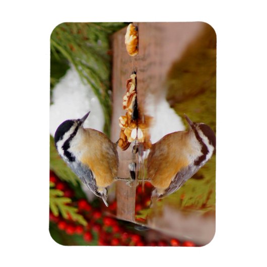 Rothatch Magnet (Vertikal)