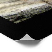 Rothatch Poster (Ecke)