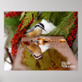 Rothatch Poster (Vorne)