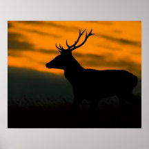 Rothirsch-Hirsch-Silhouette bei Sonnenuntergang Wi