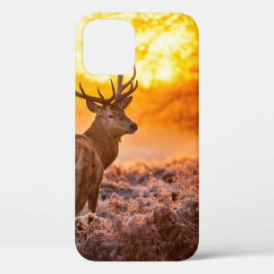 Rothirsch im Morgenlicht. hirsch,tier,wildnis,natu Case-Mate iPhone Hülle
