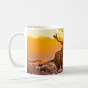 Rothirsch im Morgenlicht. hirsch,tier,wildnis,natu Kaffeetasse