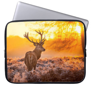 Rothirsch im Morgenlicht. hirsch,tier,wildnis,natu Laptopschutzhülle