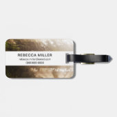 Rotholz-Bäume in Morgennebel mit Sonnenstrahlen Gepäckanhänger (Rückseite horizontal)