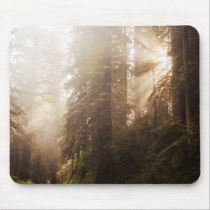Rotholz-Bäume in Morgennebel mit Sonnenstrahlen Mousepad