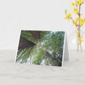 Rotholz-Gruß-Karte Karte (Gelbe Blume)