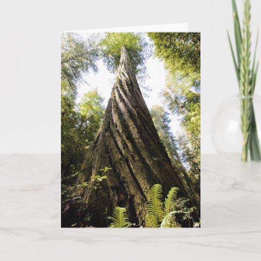 Rotholz Karte (Vorderseite)