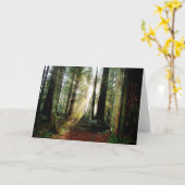 Rotholz-Morgen Karte (Gelbe Blume)