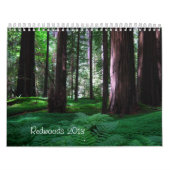 Rotholz-Staats-Parks Kalender (Titelbild)