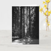 Rotholz-Wald, Grove des Gründers, 1966 Karte (Gelbe Blume)