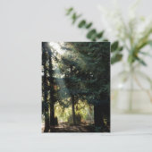 Rotholzbäume am Morgen Postkarte (Stehend Vorderseite)