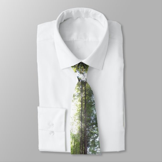 Rothölzer Krawatte (Gebunden)