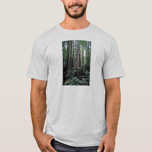 Rothölzer - Muir Holz-nationales Monument T-Shirt (Vorderseite)